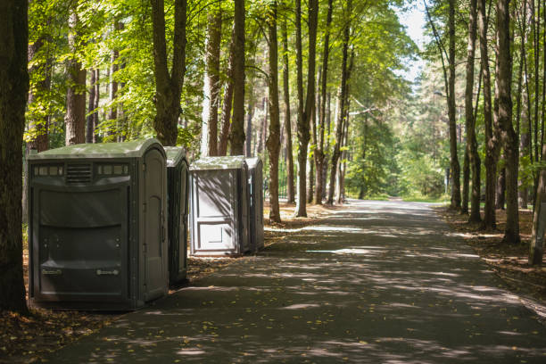 Best Luxury portable toilet rental  in Victory Lakes, NJ